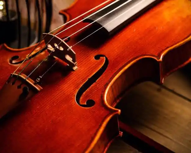 eastmanvl503高阶专业仿古小提琴