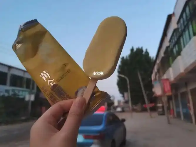 今日的1元雪糕分享来了,脆皮榴莲,外皮酥脆,最最最重要的是,一点也不