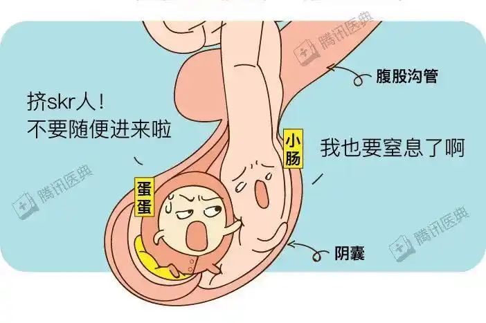 男生的蛋蛋最怕什么我们总结了5大事故现场发现