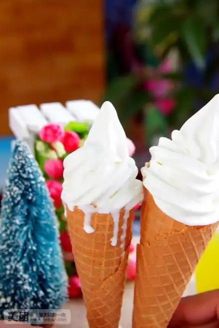原味冰淇淋 5 1份 5 价值: 5美团价:  免费提供餐巾纸      美团实拍