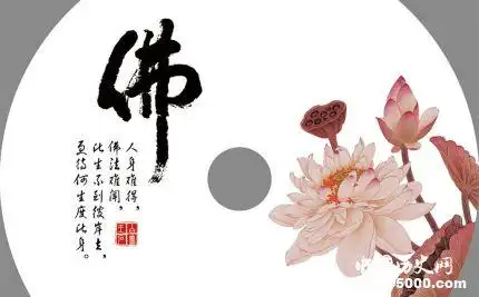 莲花的寓意和象征莲花为什么成为佛教的象征