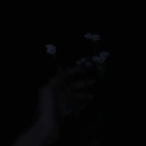 黑色不一定代表我们的心情,他只是发泄的情绪点,可能不仅仅是孤独患者