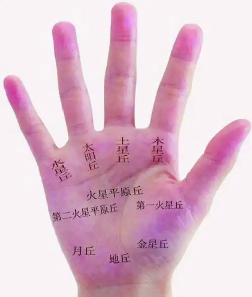 月丘一乾位. 地丘一坎位. 金星丘一艮位 手掌面代表人体前面,手背面