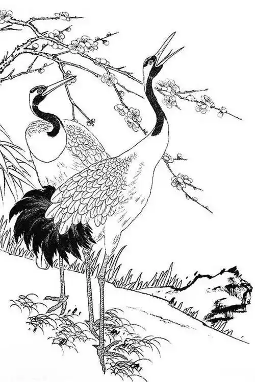 一组白描仙鹤,惟妙惟肖︱艺术名画