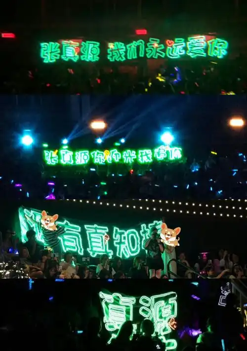 张真源应援色二代唯一all绿