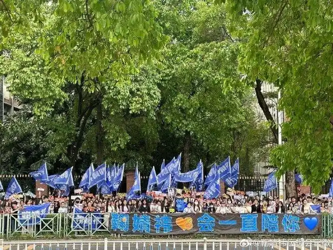 鞠婧祎|应援_新浪新闻