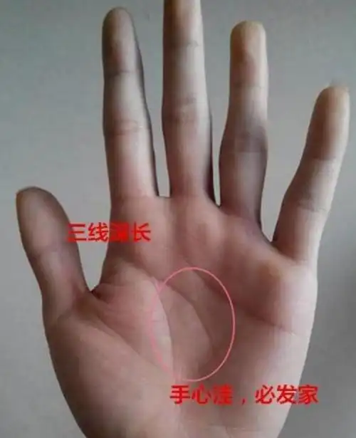 一生与儿子没缘的手相,必定能生得贵女,注定老来享女儿福