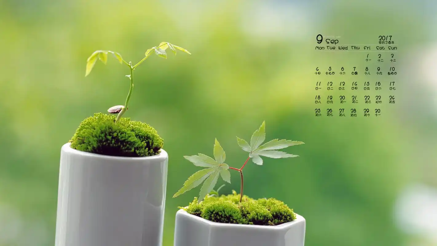 小清新护眼植物高清电脑桌面壁纸_日历壁纸_壁纸下载_美桌网