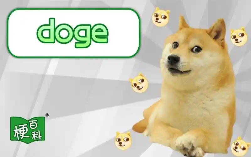【梗百科】doge是啥梗?神烦狗是怎么来的?_哔哩哔哩_bilibili