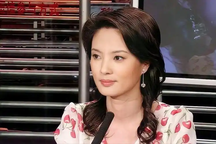 刘芳菲个人资料简介及家世(央视主持人刘芳菲的职场道路)-满趣屋