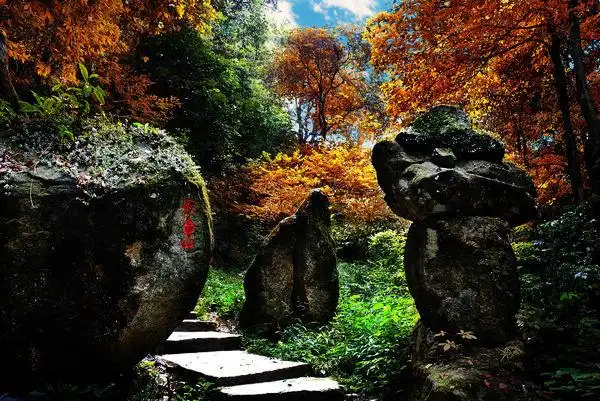 江西省 宜丰县地标 洞山景区