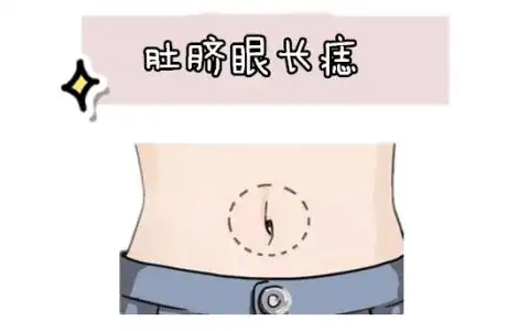 肚子有痣的位置与命运 肚子上痣的位置与命运图解