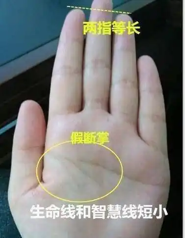 有这种"龙头纹",年少贫穷中年时运一到,必定大器晚成_事业_手相_变化