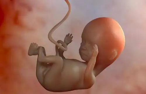 有ip地址如何能查到准确位置如何在家听胎心准确掌握位置次数一文教你