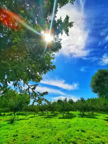 其它 同在蓝天白云下 写美篇同在蓝天白云下           背景音乐