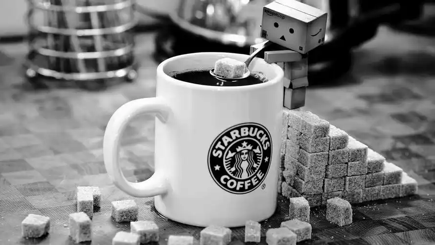 静物黑白摄影图片壁纸