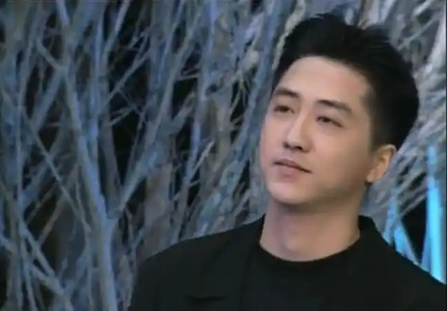 28年前央视春晚的庾澄庆,如何叫24岁的伊能静不心动?_手机搜狐网