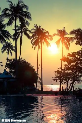 傍晚海边椰树落日美景高清图片