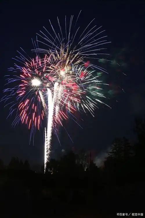 烟花爆竹,为什么我们今年要放?