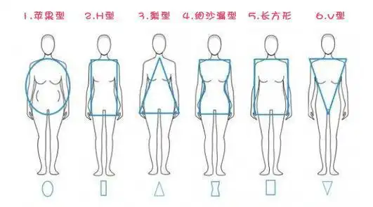 女生体型类别图