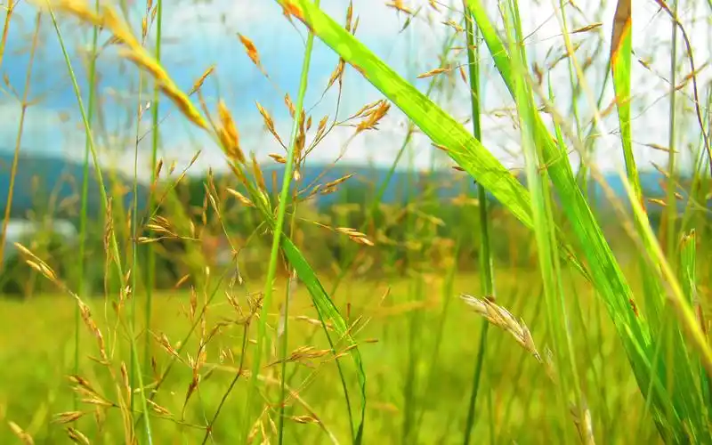 轻柔钢琴纯音乐,动听的旋律,满满的回忆,满满幸福感