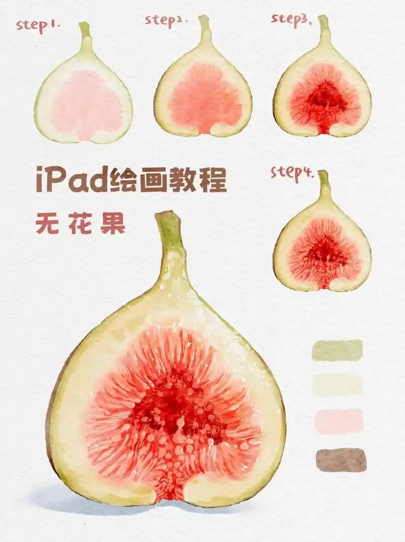 水彩教程之无花果#画画 #一起学画画 #教程 #干货分享 # - 抖音