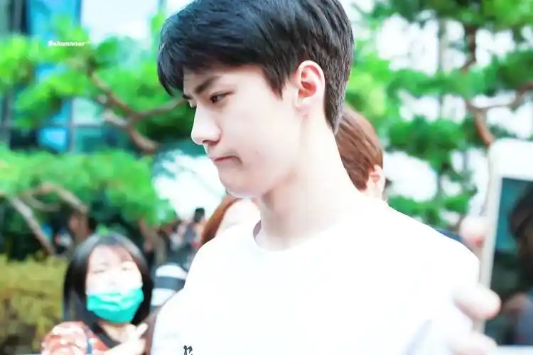 动态壁纸吴世勋