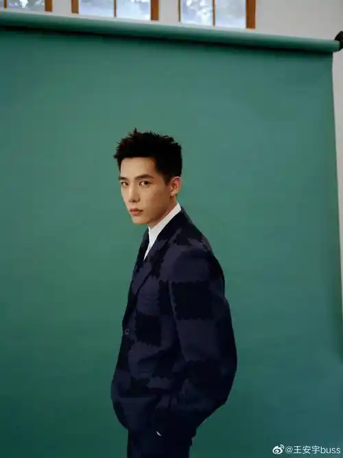 2021搜狐时尚盛典年度时尚影响力男明星提名王安宇