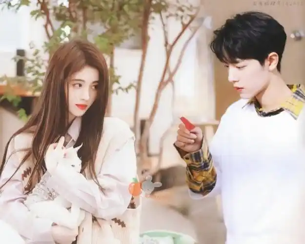 肖战鞠婧祎只为战祎