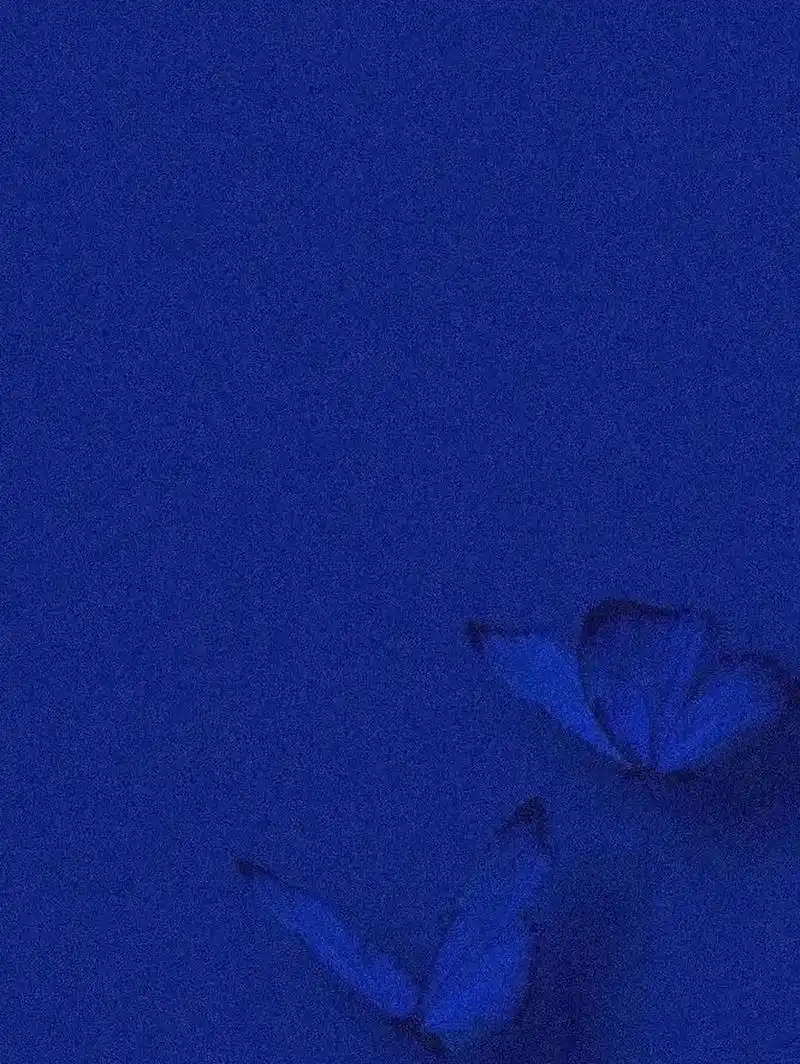 96宝蓝色是一种充满活力和魅力的颜色,无论是在体育,时尚还是艺术