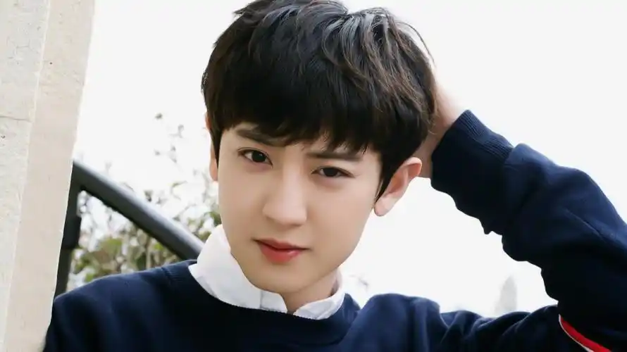 朴灿烈 橙光素材> 使用图二转标注明:顾酒黎