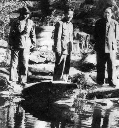 闻听毛岸英在朝鲜牺牲 毛泽东沉默后说出哪句话?