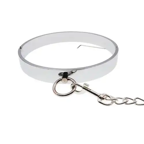 成人男女夫妻情趣道具sm金属项圈配牵绳带乳夹男款同志女王另类游戏