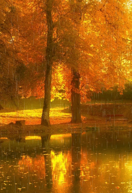 过往在回忆中依旧温润让心在岁月中静好如初念起便是生命中最美的风景