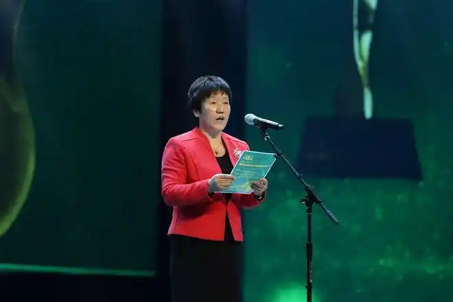 银川市人民政府副市长钱秀梅宣布2017首届中国银川互联网电影节闭幕"