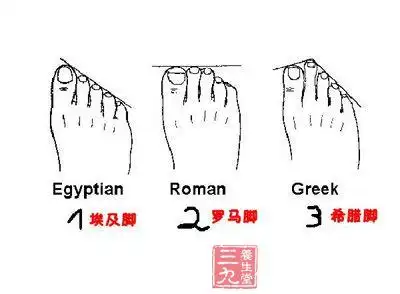 (精解篇)_大全-幸福起航