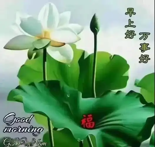 5张非常好看的夏天唯美温馨的早安图片带字