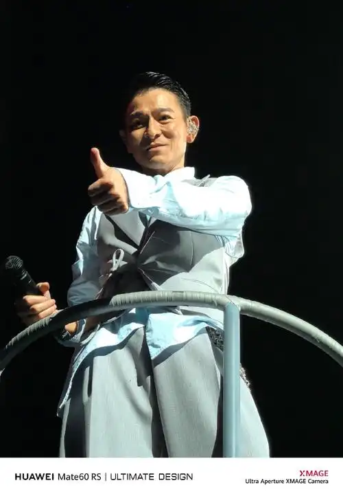 刘德华舞台魅力非凡