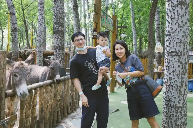 夏日存货之崽和他的小伙伴们