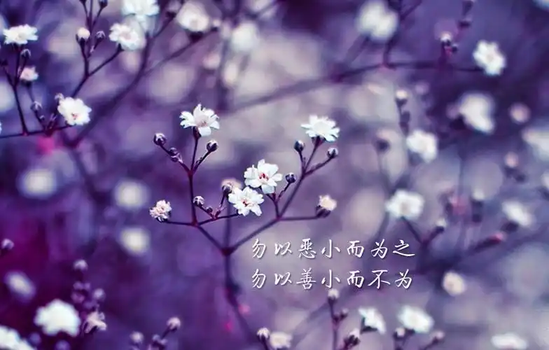 励志文字带图片,高清图片-壁纸族