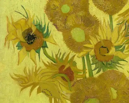 en;英语:sunflowers) /i>,是1888年8月-1889年1月期间荷兰画家 a