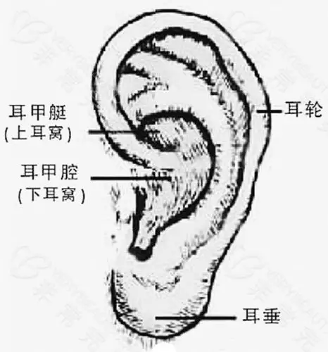湖北耳朵畸形矫正医院分享,武汉这家耳部整形医院必看!