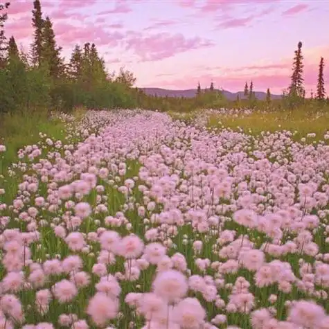 最美的风景头像图片精选 高清大图唯美意境