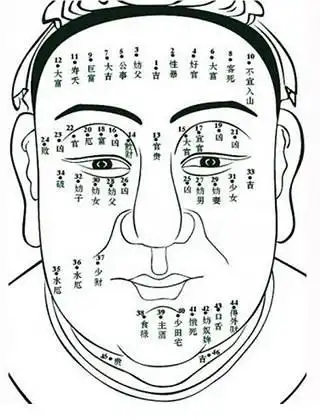 别看了!网上搜的痣相图都是假的