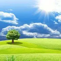 绿草手机微信壁纸_微信头像图片大全