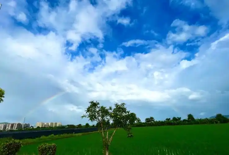 台风"马鞍"或将正面袭击广东,防风iv级应急响应已启动!谨防暴雨!|台风