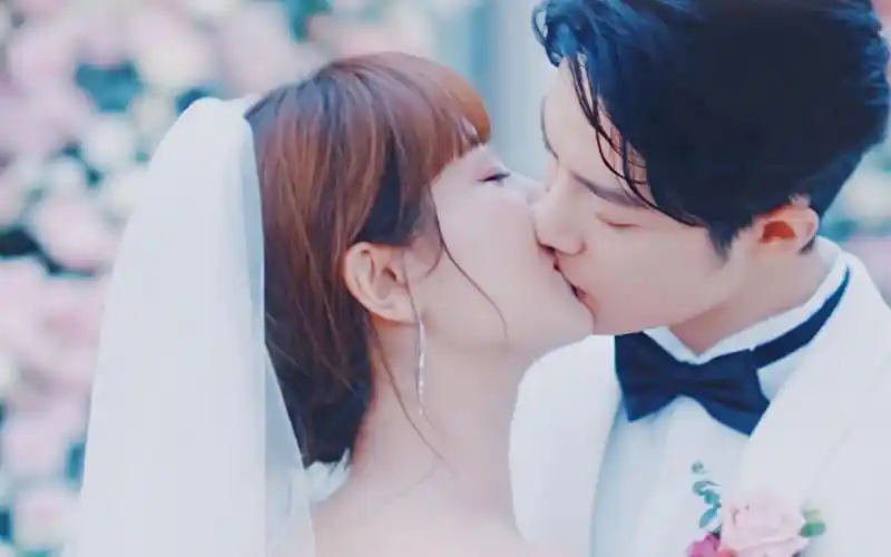 恶作剧之吻——看肖战杨紫演绎顾魏林之校版没有吻