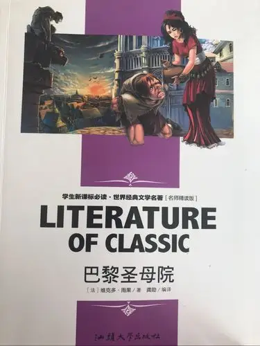 我给大家推荐的第二本书是《巴黎圣母院》