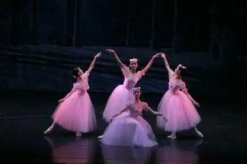 《古典女子四人舞》点击此处查看全部娱乐图片新浪娱乐讯 舞蹈学院