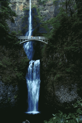 700_1050竖版 竖屏gif 动态图 动图